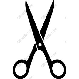 Premium Scissors