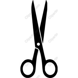 Elegant Scissors