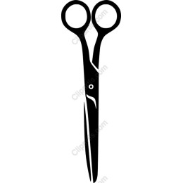 Elegant Scissors
