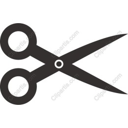 Elegant Scissors