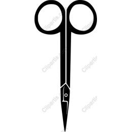 Sleek Scissors