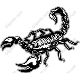 Black and White Scorpion