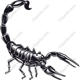 Scorpion