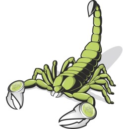 Vibrant Green Scorpion