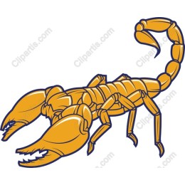 Vibrant Yellow Scorpion