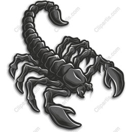 Black Scorpion