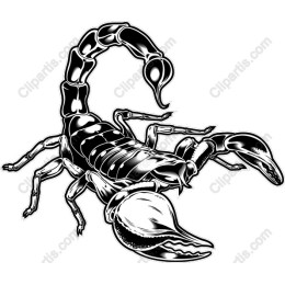 Fierce Scorpion