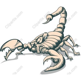 Intricate Scorpion
