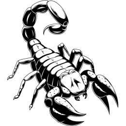 Scorpion