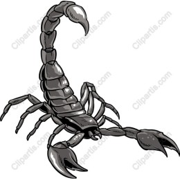 Scorpion