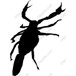  Crab