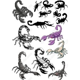 Scorpion Bundle