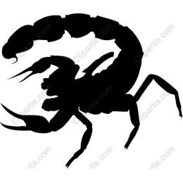 Scorpion