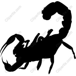 Scorpion - Bold