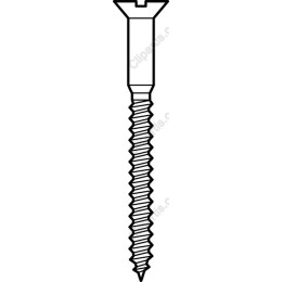 Screw