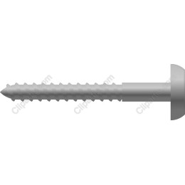 Premium Screw Clipart in and
