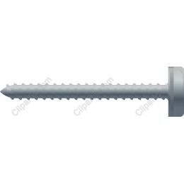 Premium Screw