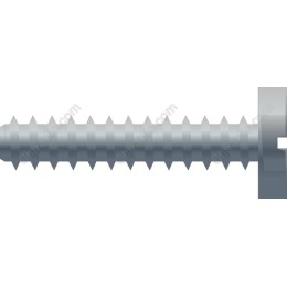 Precision Screw