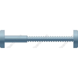 Professional Bolt