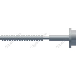 Modern Screw