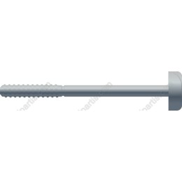 Premium Screw /