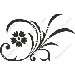 Elegance in Bloom: Floral