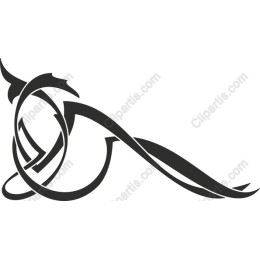 Elegant Flowing Abstract