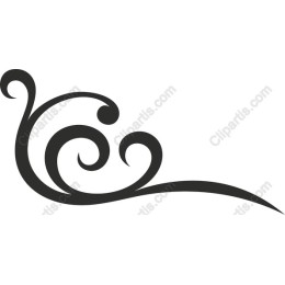 Elegant Swirl