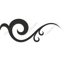 Elegant Swirl