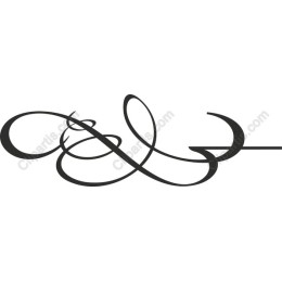 Elegant Swirl