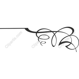 Elegant Swirl