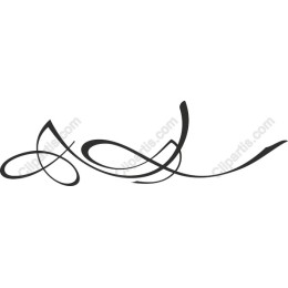 Elegant Curve