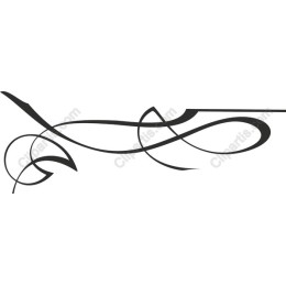 Elegant Flowing Lines