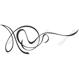 Elegant Swirl