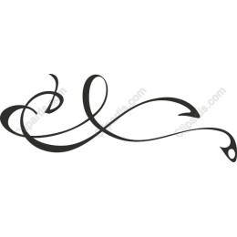 Elegant Swirl