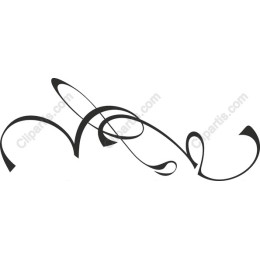 Elegant Abstract Swirl
