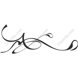 Elegant Flowing Swirl