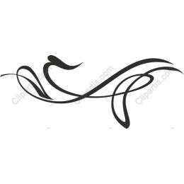 Elegant Flourish