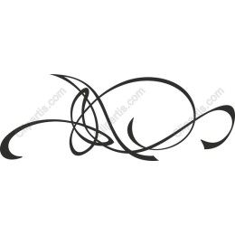 Elegant Swirl