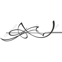 Elegant Flowing Lines