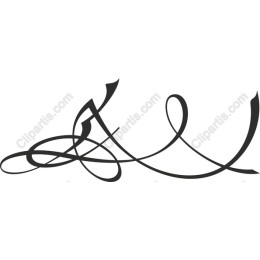 Elegant Calligraphic Swirl