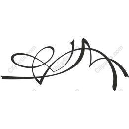 Elegant Swirl