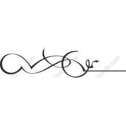 Elegant Flourish