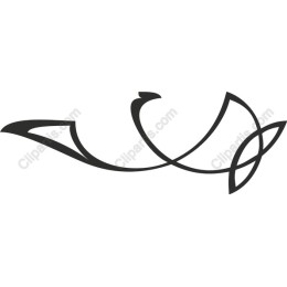 Elegant Flowing Lines