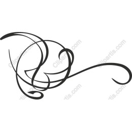 Elegant Swirl
