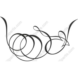 Elegant Swirl Flourish