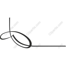Elegant Swirl