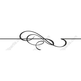 Elegant Decorative Flourish