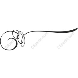 Elegant Swirl