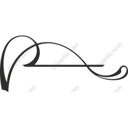 Elegant Swirl